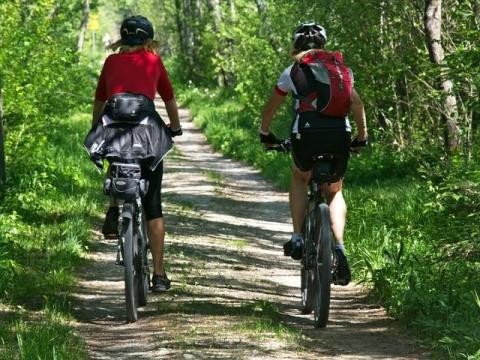 Zwei Mountainbiker im Wald