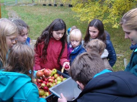 Kinder beim Pressen von Apfelsaft.