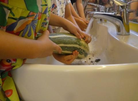 Die KiTa-Kinder waschen die Zucchini