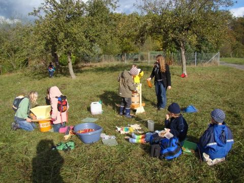 Eine Gruppe von Kindern presst auf einer Streuobstwiese Apfelsaft